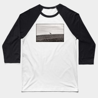 A Roe Deer crossing a field - Mull of Galloway, Scotland Baseball T-Shirt